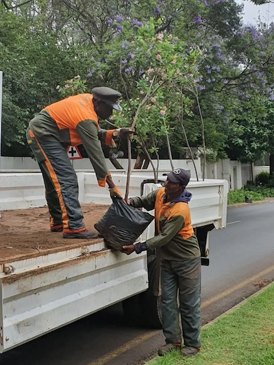 Cape Dutch home in Houghton
