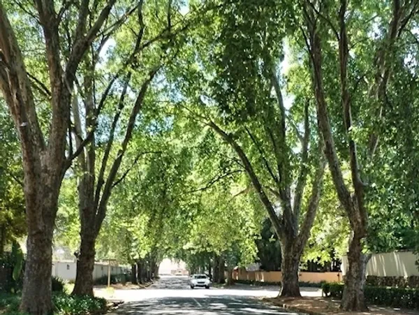 Cape Dutch home in Houghton